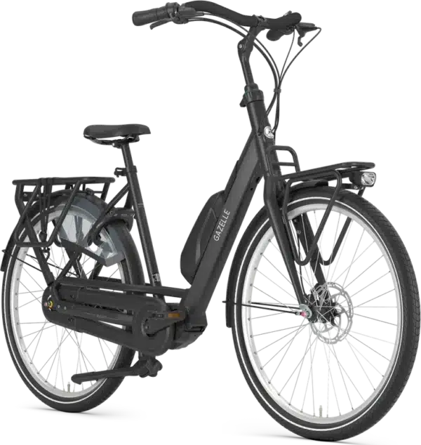 Gazelle Bloom C310