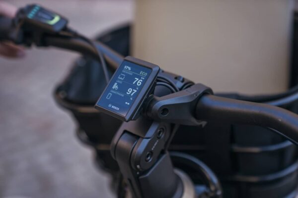 Kildemoes Bornholm Bosch - Billede 4