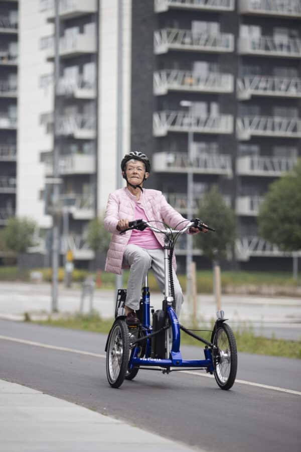 Viktoria-Bike - Image 5