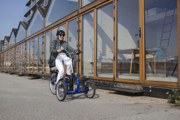 Viktoria-Bike - Image 6