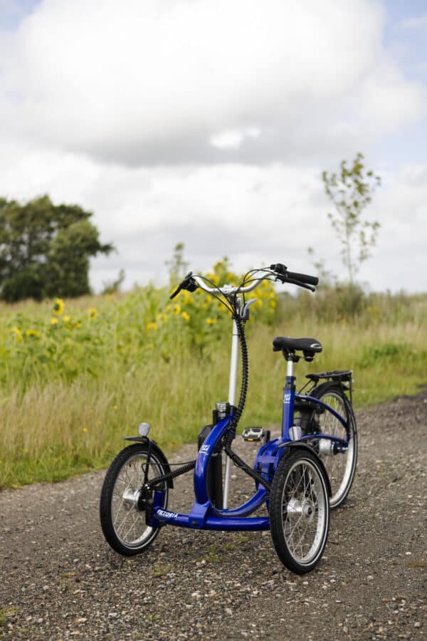 Viktoria-Bike - Image 3